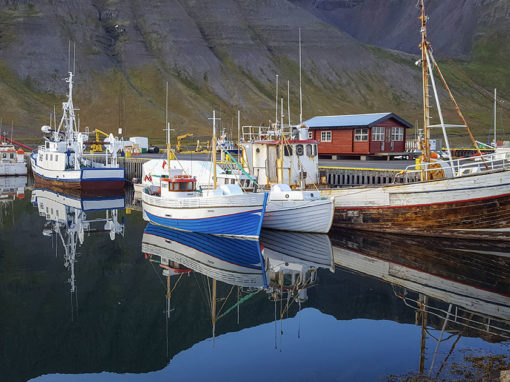 Cod Liver Oil Fishing