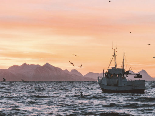 deep sea fishing in the north sea